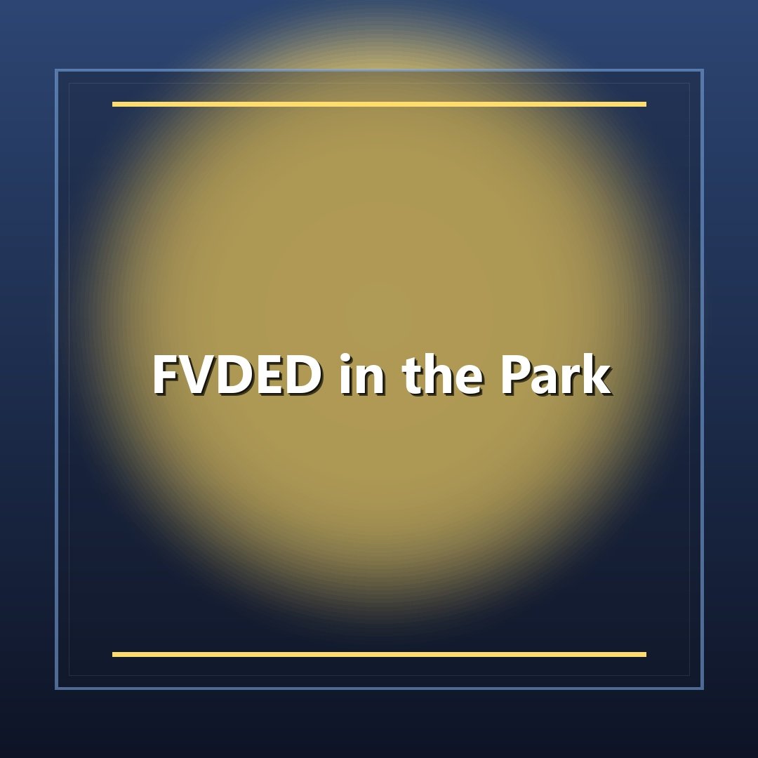 FVDED in the Park